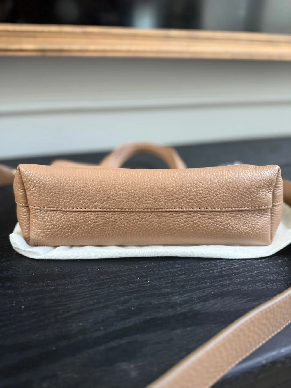 Cuyana Cappucino Mini Easy Zipper Tote